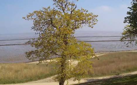 Webcam-Vorschau aus Keitum